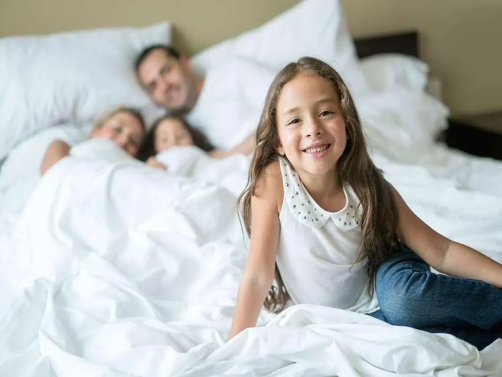 Hotel Hilton Tampa Airport Westshore