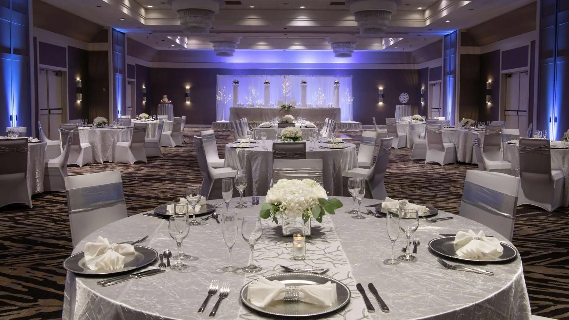 Hilton Tampa Airport Westshore Hotel