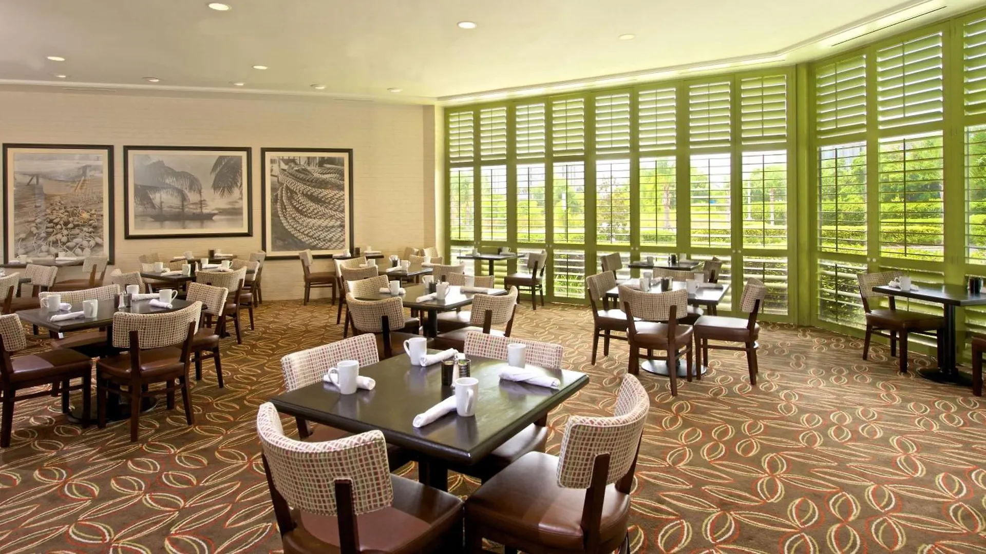 Hotel Hilton Tampa Airport Westshore